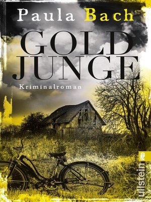 cover image of Goldjunge